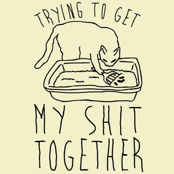 Meet your Posher, Max - Picture 1 of 1